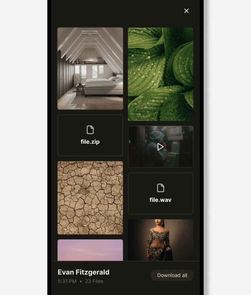 Dark file gallery showing shared images, video, and ZIP and WAV attachments from Evan Fitzgerald
